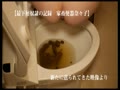 最下層**妻　奈々子　新しい投稿　より